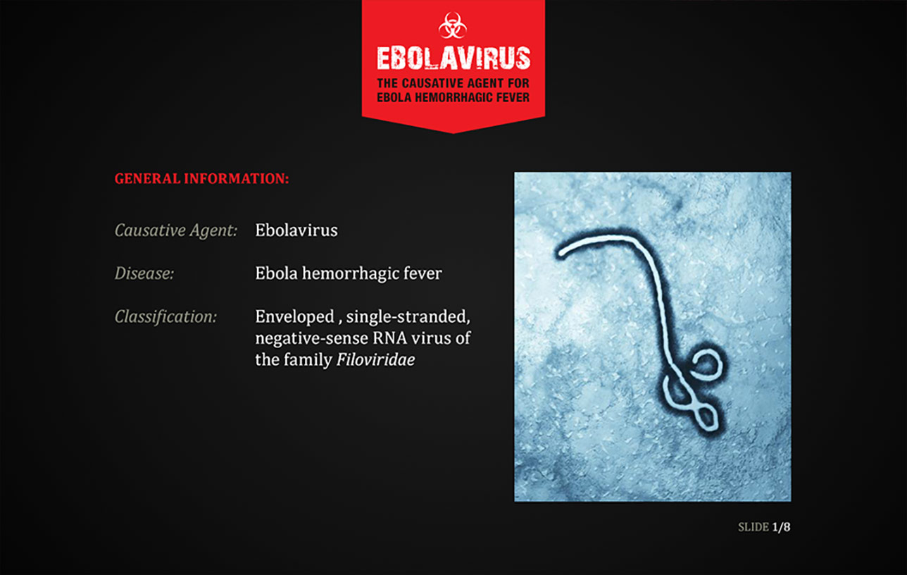 Ebolavirus: An Overview Presentation Image 02