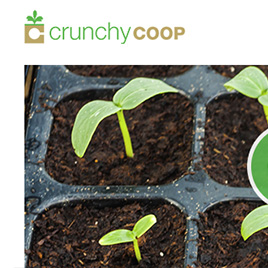 Crunchy Coop Thumbnail